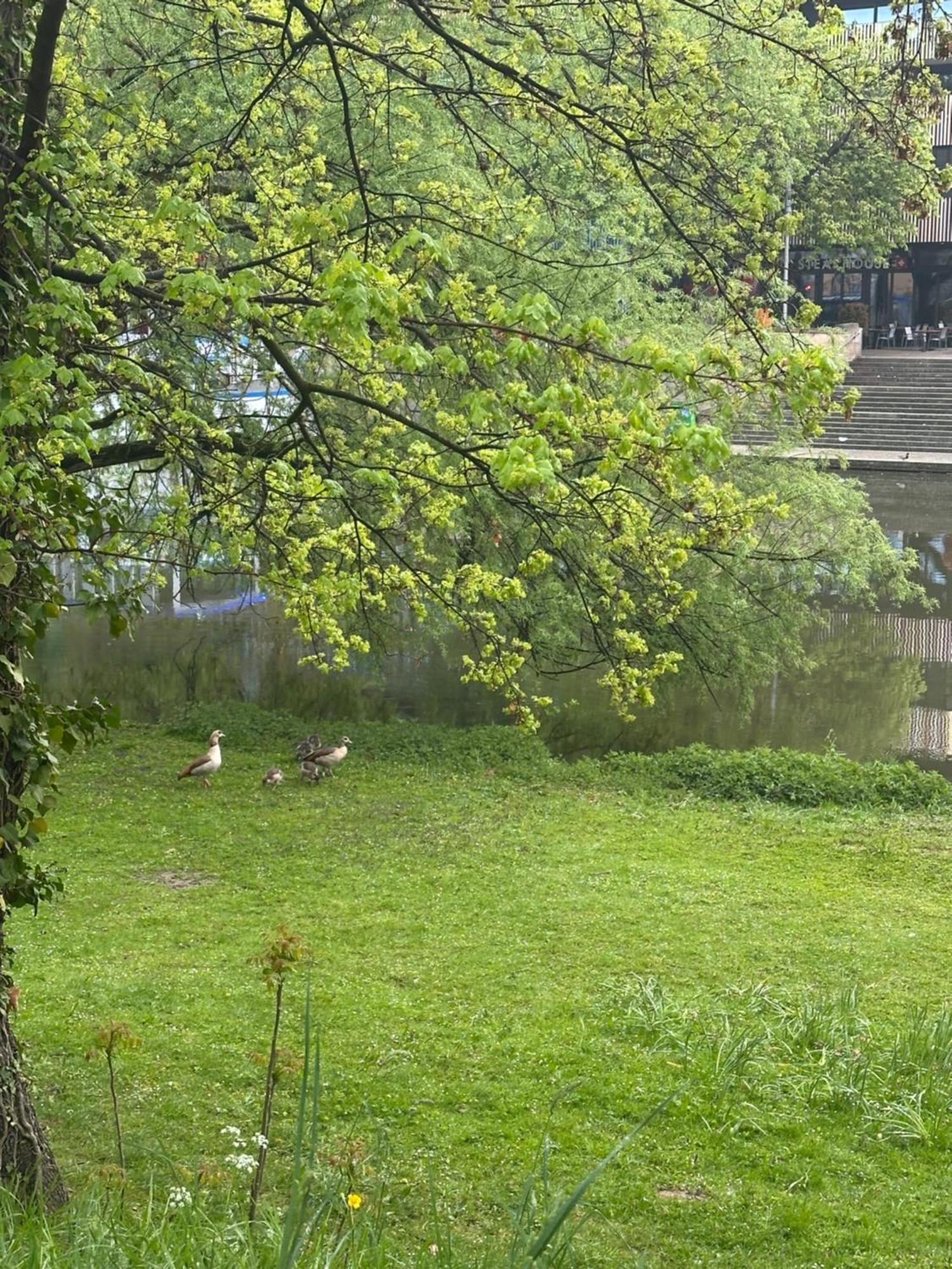 Am Neckar Mit Tiefgarage *